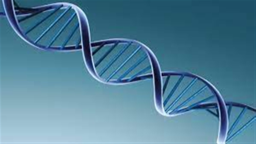 sistema parecido com crispr pode editar genoma humano 1