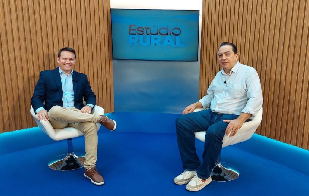 suinocultura em mt registra recuo de 20 mil matrizes e perda de quase 60 criadores