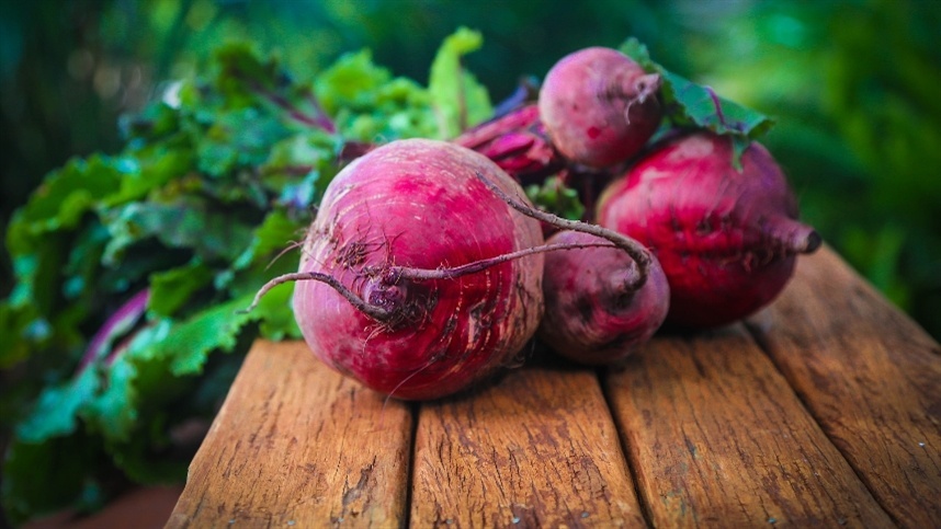 tentativas de substituir os neonicotinoides 1