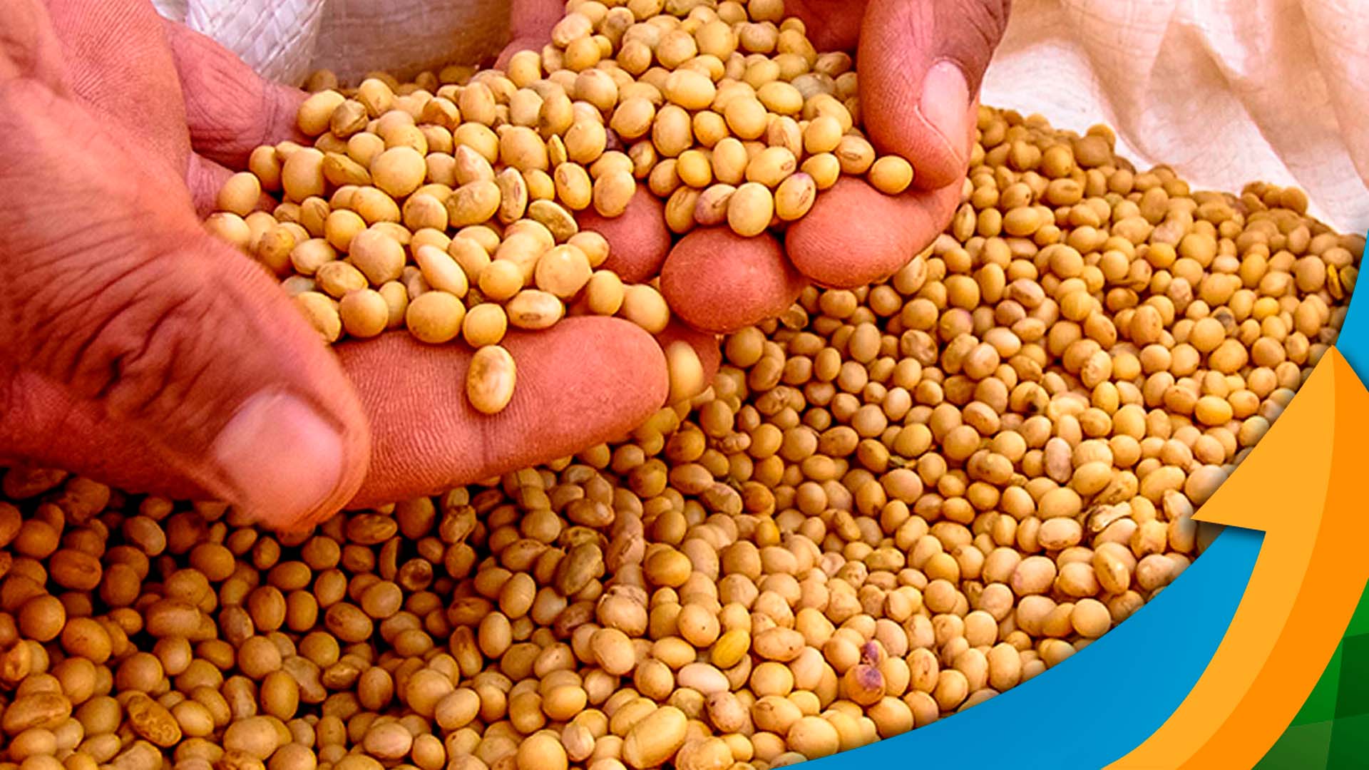 Três fatores contribuíram para o tom negativo do mercado da soja em Chicago: escassez de…