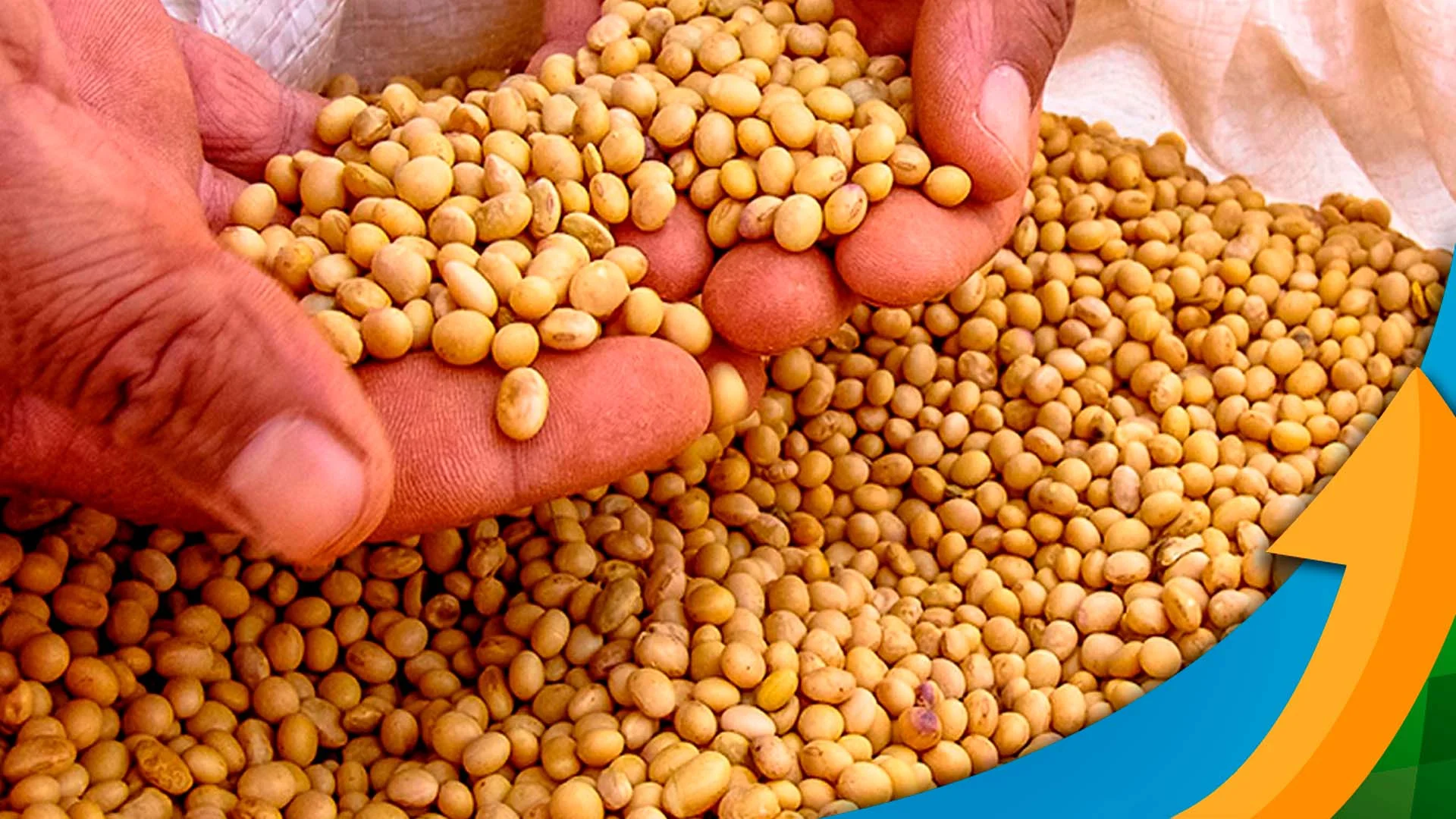 Três fatores contribuíram para o tom negativo do mercado da soja em Chicago: escassez de... 16 tres fatores contribuiram para o tom negativo do mercado da soja em chicago escassez de