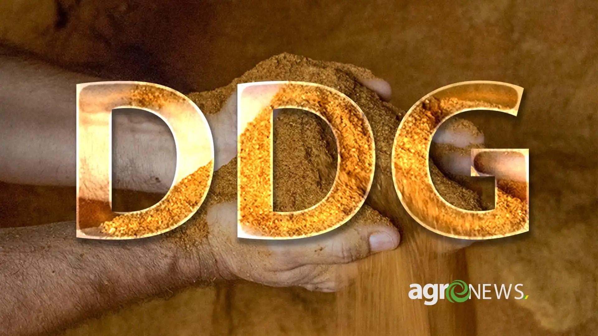 uso do ddg de milho em mt pode dar um salto na producao de proteina animal