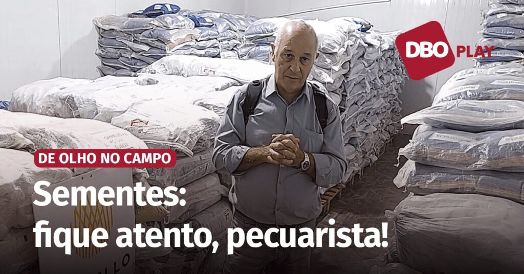 vai comprar sementes para pastagens confira alguns cuidados portal dbo