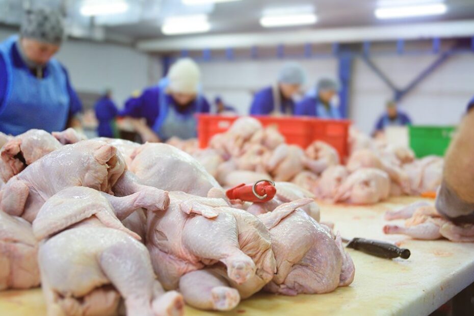 A Argentina vai retomar a exportacao de carne de frango