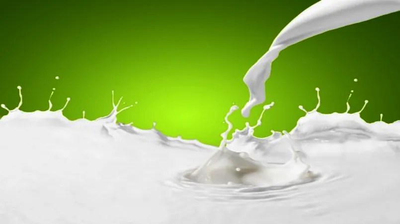 Preco do leite ao produtor continua em queda enquanto importacoes.webp