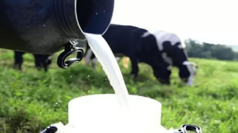 Preco do leite registra segunda queda consecutiva em junho revela