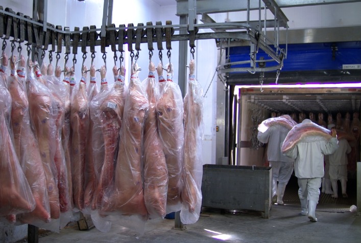 Qual e a porcentagem das exportacoes de carne suina ate
