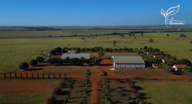 Fazenda em MT é destaque na pecuária sustentável com rotação de pastagens e integração