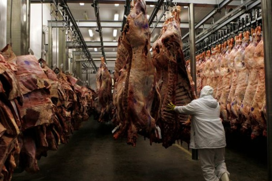 Qual foi a queda percentual das exportacoes brasileiras de carne