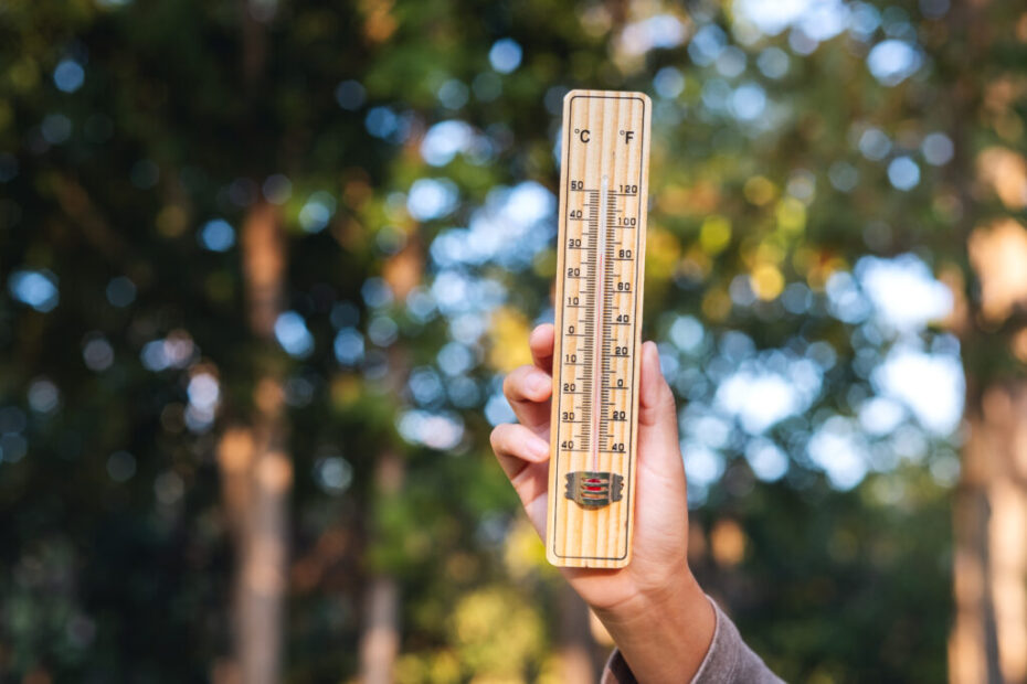 Qual foi o ano mais quente desde 1961 de acordo