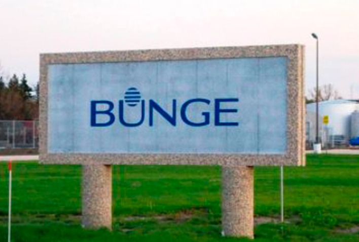 Quantas vagas a Bunge esta oferecendo em seus programas para