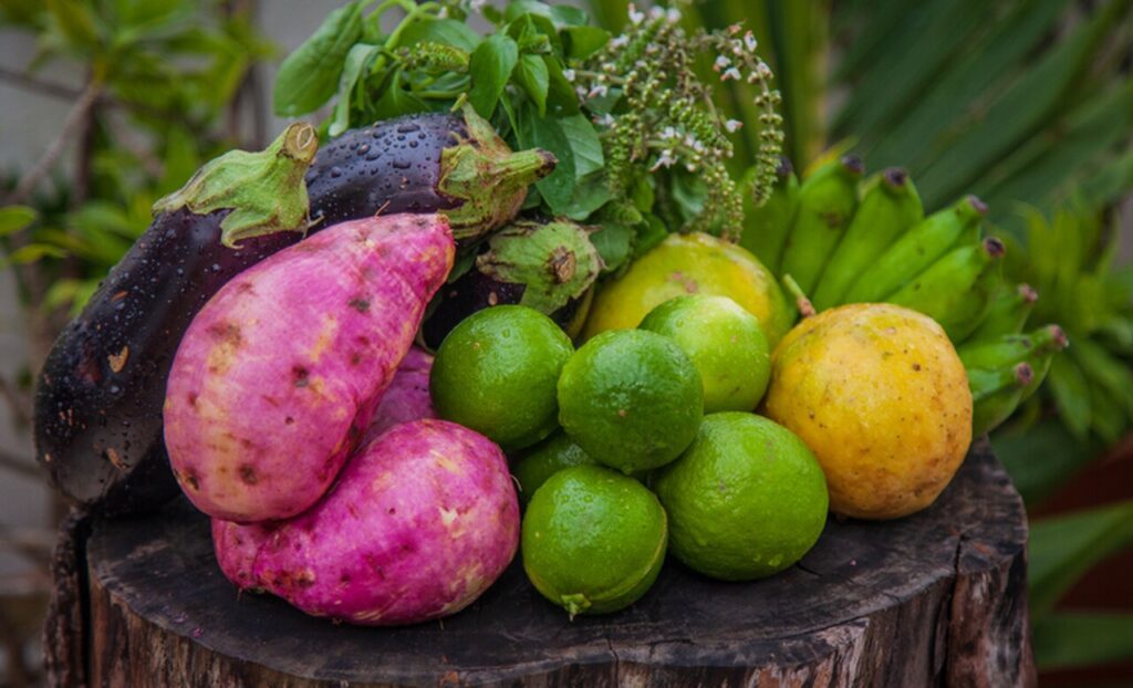 Quem recebe certificados de produtores organicos no Parana