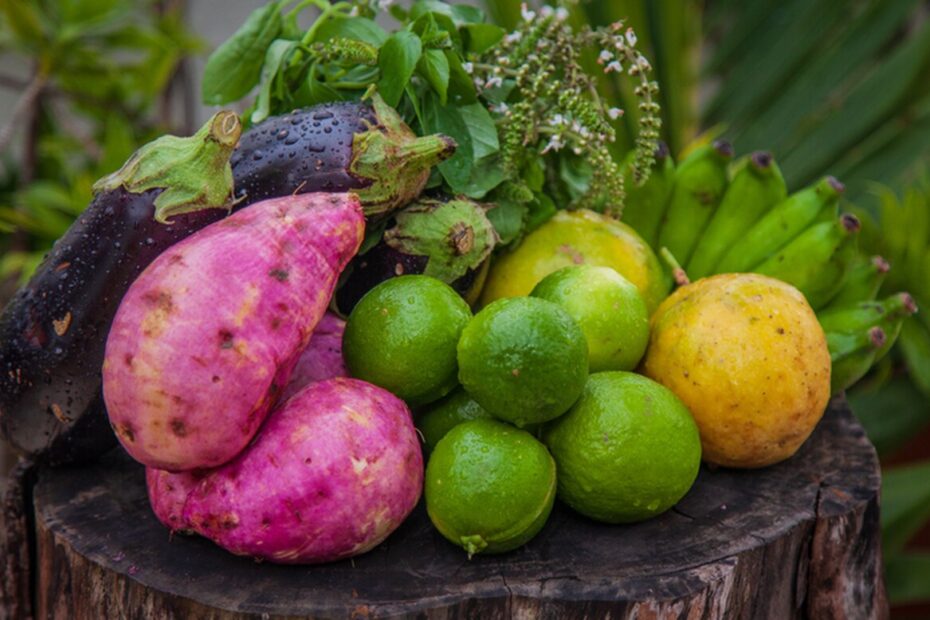 Quem recebe certificados de produtores organicos no Parana