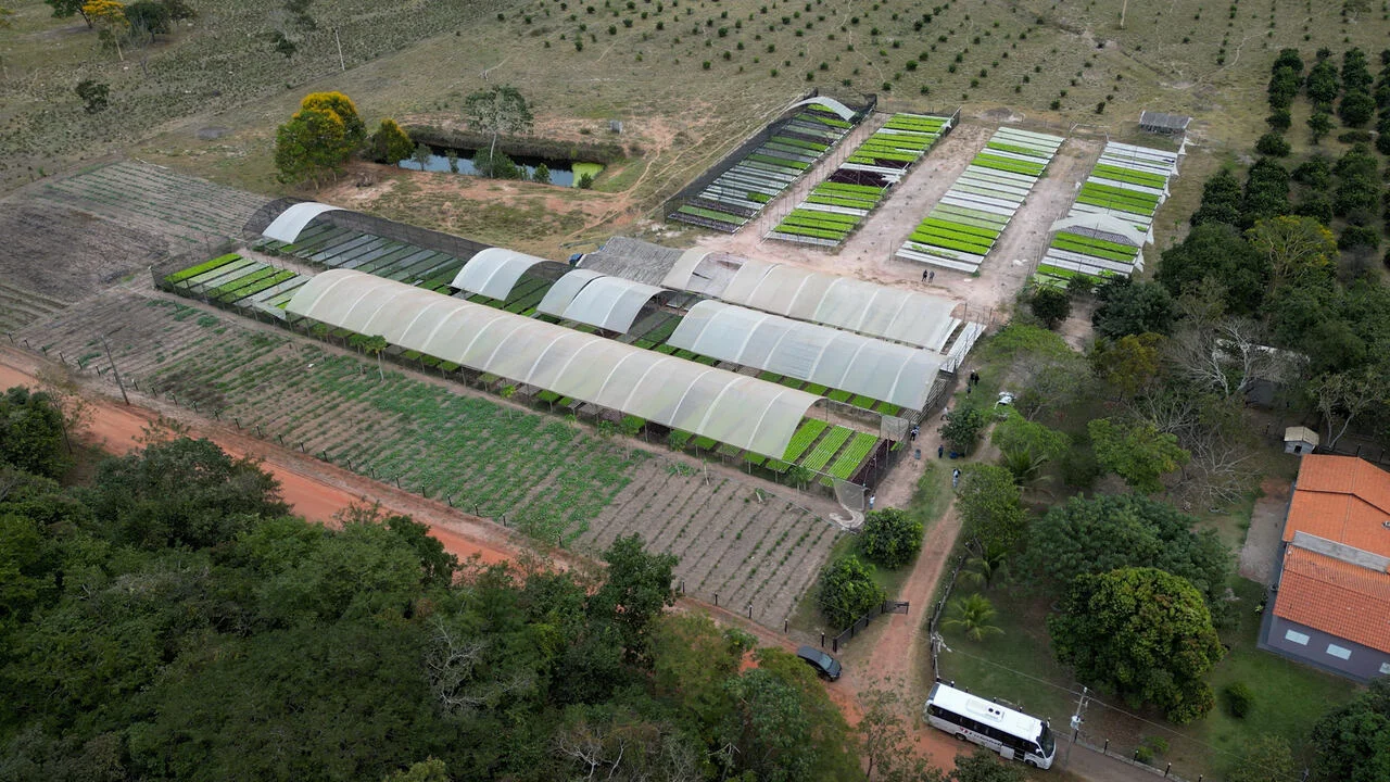 A agricultura familiar é possível e tem sido bem-sucedida no Mato Grosso? 1 a agricultura familiar e possivel e tem sido bem sucedida no mato grosso