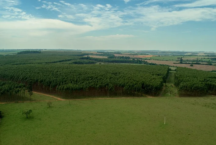 a politica de meio ambiente do laticinio scala engloba reflorestamento energia renovavel logistica reversa reuso de agua e reciclagem de residuos