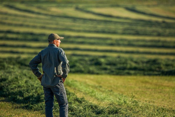 A subvenção ao seguro rural pode se esgotar já em agosto, segundo estimativas da CNSeg. Quando é esperado o esgotamento da subvenção ao seguro rural, de acordo com a CNSeg?