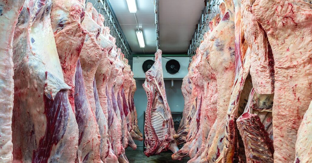 as exportacoes brasileiras estao em bom ritmo na parcial de agosto 23 de acordo com o portal dbo