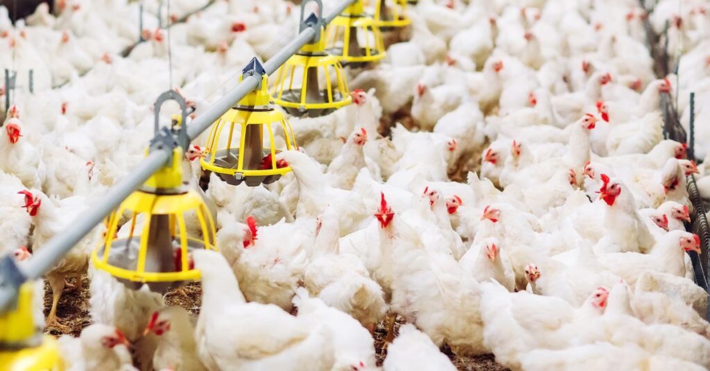 as medias mensais de agosto sao superiores as de julho no portal dbo 2