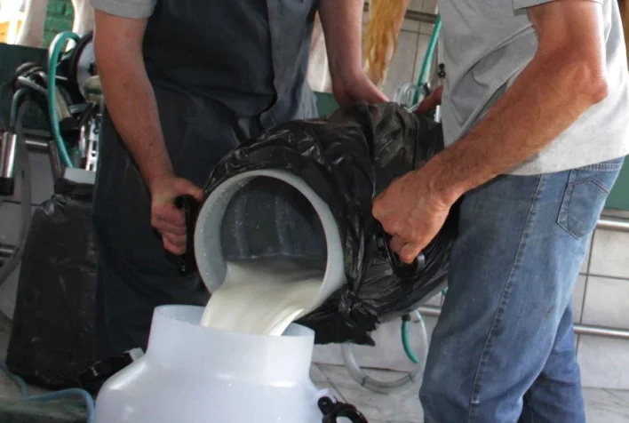 as medidas do governo levam em consideracao os produtos importados que causam a queda do preco do leite