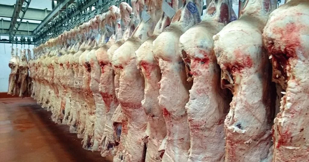 Até quando vão as inscrições para a 5ª edição do 'Programa de Eficiência de Carcaça' no Portal DBO? 6 ate quando vao as inscricoes para a 5a edicao do programa de eficiencia de carcaca no portal dbo