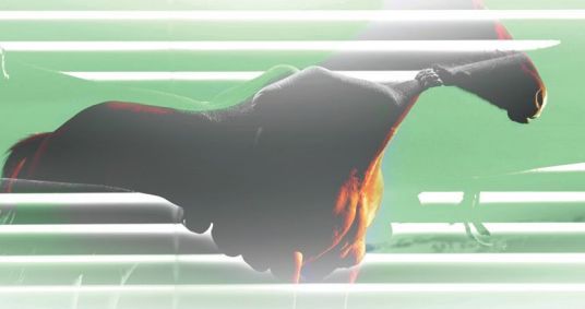 Campeonato Nacional de Seleção de Ranchos, Saiba Mais