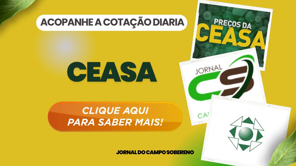 Ceasa Estaduais – Frutas-Verduras-Legumes