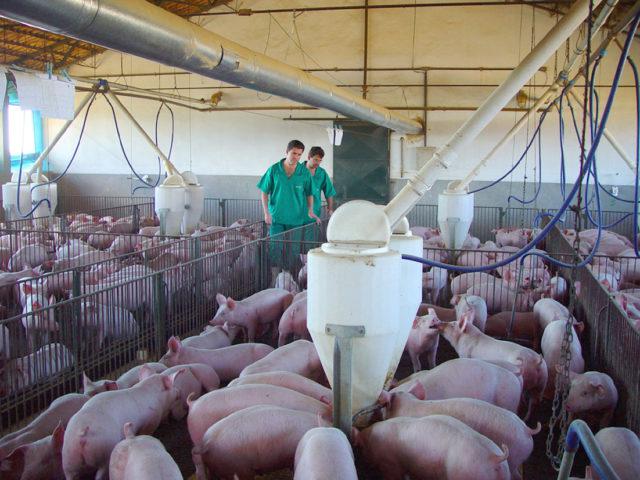 Como a adoção de práticas ESG ajuda a enfrentar desafios globais?