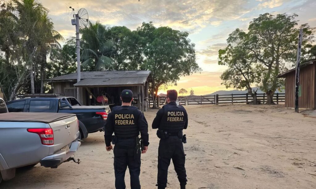 polícia federal, gado, PF, operação, desmatamento, Amazônia