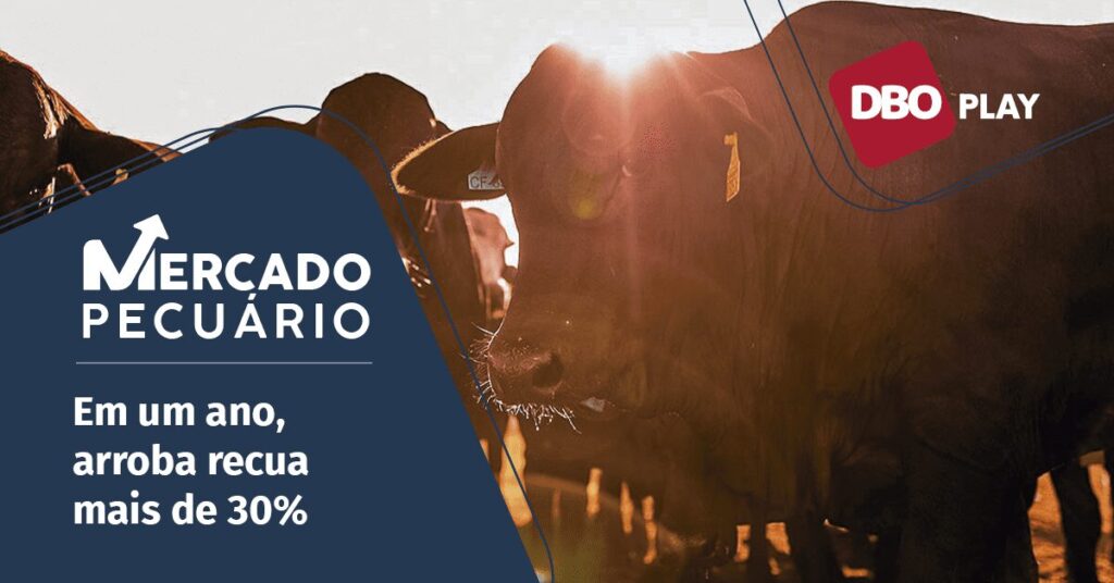 como a queda nos custos de producao esta impactando a perspectiva dos pecuaristas