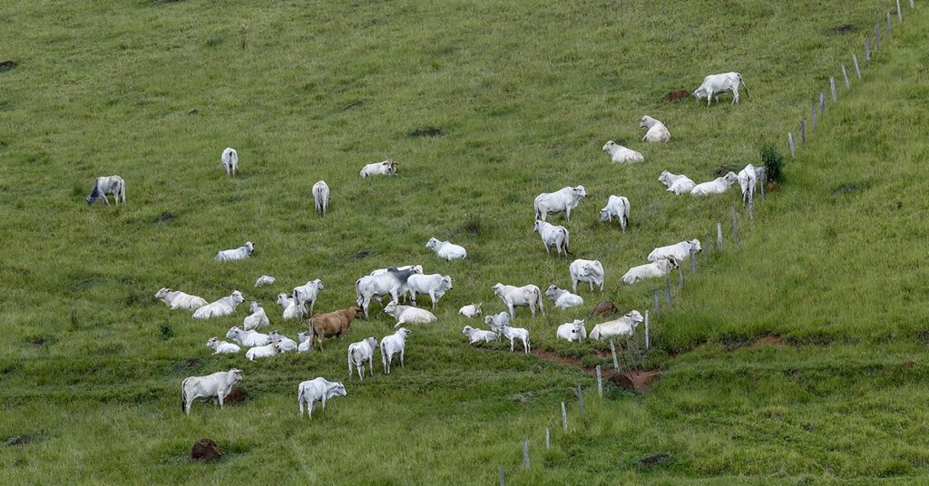 como a semana encurtada pelo feriado nacional afeta a liquidez do mercado fisico 2