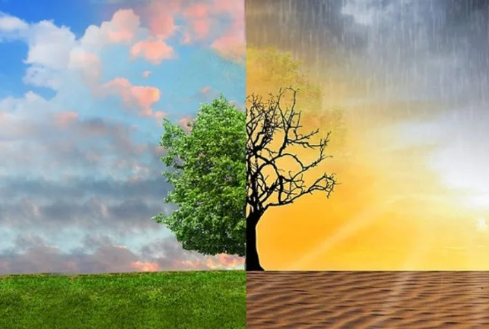 Como as novas ferramentas genéticas podem ajudar a lidar com as mudanças climáticas? 8 como as novas ferramentas geneticas podem ajudar a lidar com as mudancas climaticas