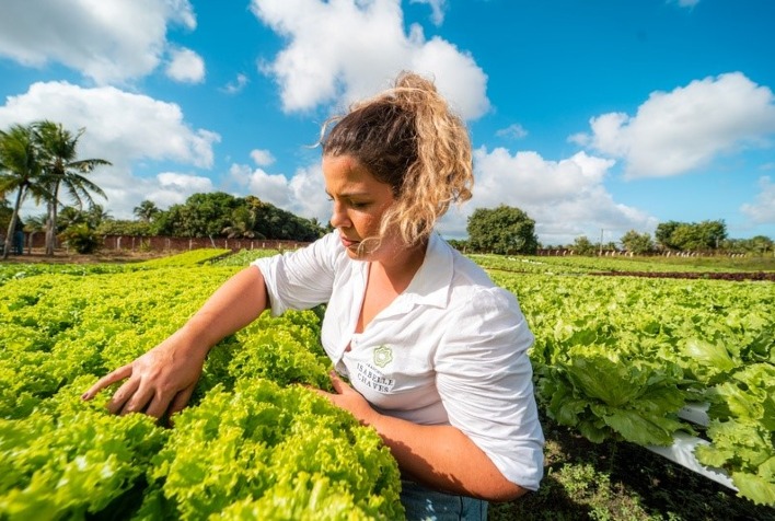 como as produtoras rurais do nordeste se destacam por suas boas praticas agricolas na regiao