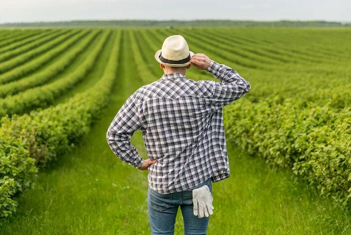 Como é possível superar o endividamento rural conforme o Portal do Agronegócio? 17 como e possivel superar o endividamento rural conforme o portal do agronegocio