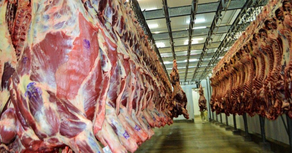 como estao as exportacoes de carne bovina in natura na parcial de setembro 23 de acordo com o portal dbo 1