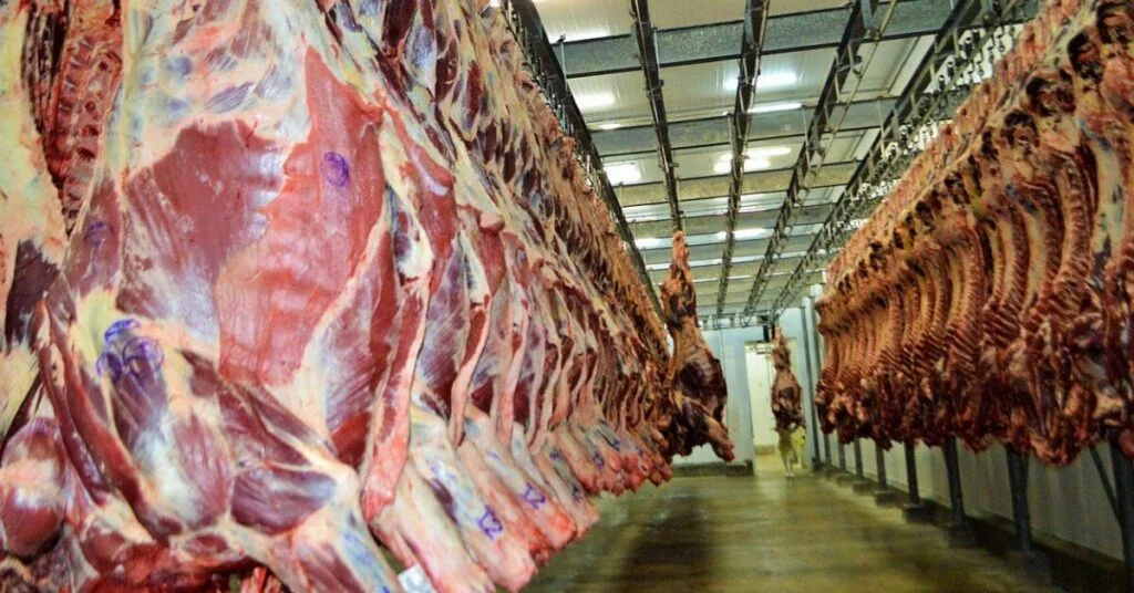 como estao as exportacoes de carne bovina in natura na parcial de setembro 23 de acordo com o portal dbo 1