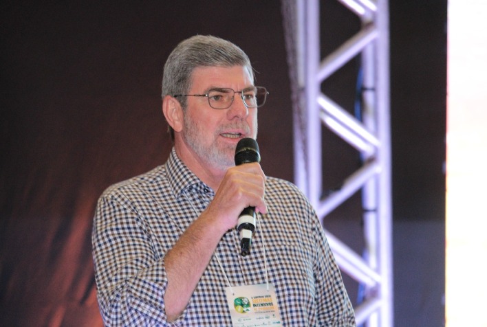 Como o cultivo intensivo e a utilização da irrigação podem contribuir para que o algodão brasileiro se torne líder nas exportações?