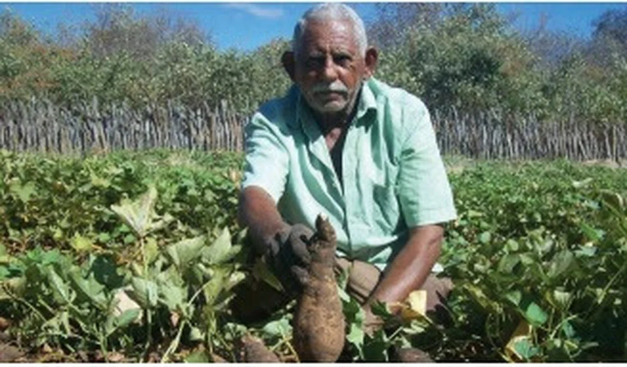 Como os painéis fotovoltaicos podem ser utilizados para abastecer equipamentos agrícolas destinados à irrigação? 5 como os paineis fotovoltaicos podem ser utilizados para abastecer equipamentos agricolas destinados a irrigacao