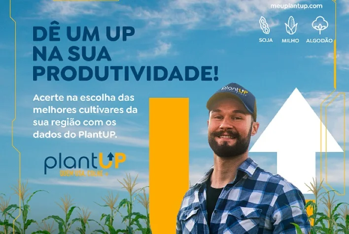 Como os produtores de algodão e milho podem utilizar o PlantUP para preparar a próxima safra? 1 como os produtores de algodao e milho podem utilizar o plantup para preparar a proxima safra