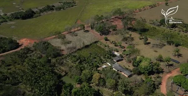 Destaque na produção de alimentos orgânicos no norte de Mato Grosso. 2 destaque na producao de alimentos organicos no norte de mato grosso