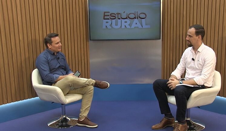 Diagnóstico da cadeia leiteira em MT revela oportunidades e desafios na atividade