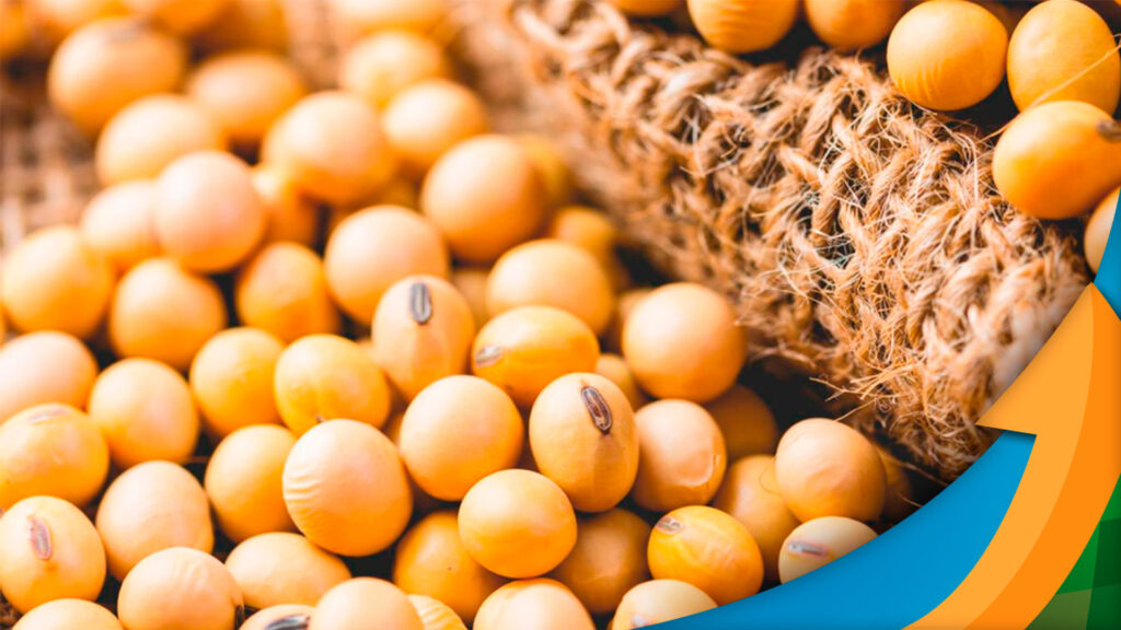 o clima ainda pode influenciar a safra americana de soja 1