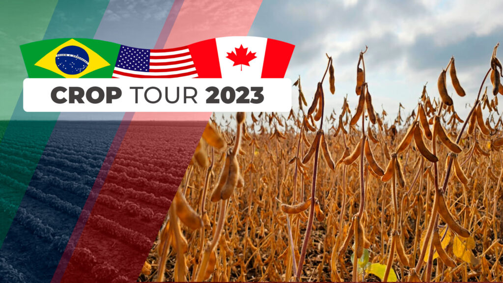 o crop tour indica melhores condicoes para a soja em fortier canada