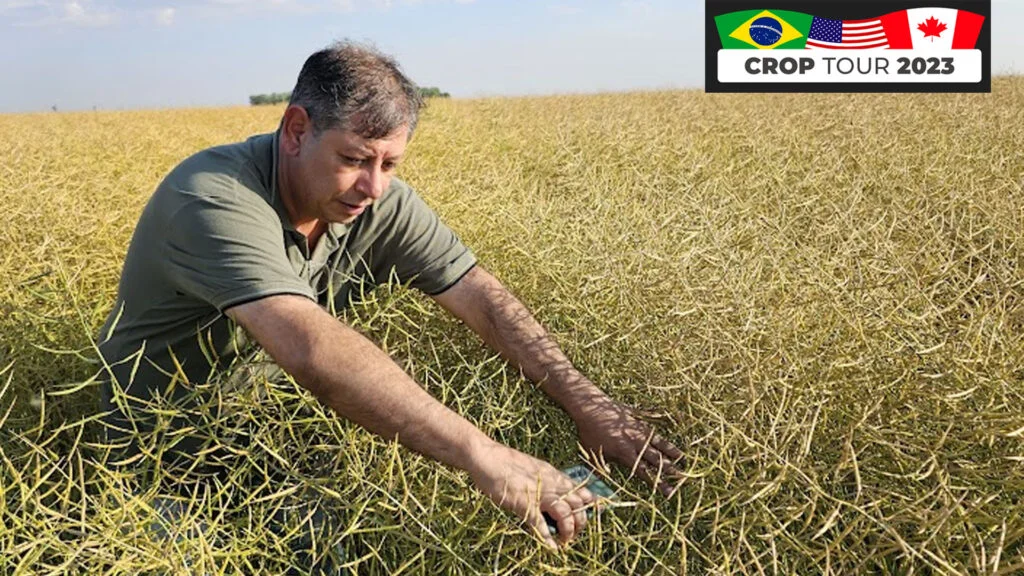 o crop tour labhoro noticias agricolas ja comecou qual sera a primeira parada do tour