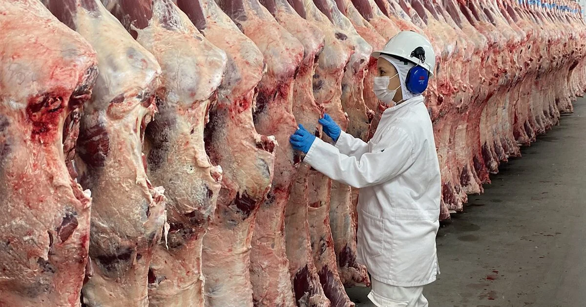 O Mapa e associações estão discutindo a redução da lista de frigoríficos a ser encaminhada ao governo chinês no Portal DBO? 11 o mapa e associacoes estao discutindo a reducao da lista de frigorificos a ser encaminhada ao governo chines no portal dbo