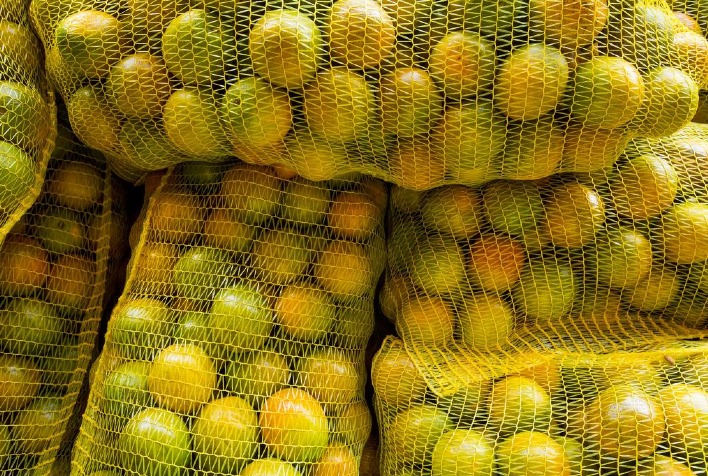 O período de final de mês limita a valorização dos citros, especialmente da laranja?