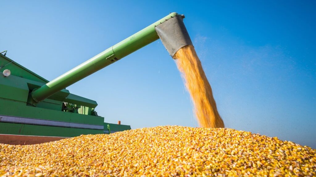 O que diz o relatório do Departamento de Agricultura dos Estados Unidos sobre a oferta de grãos? 1 o que diz o relatorio do departamento de agricultura dos estados unidos sobre a oferta de graos