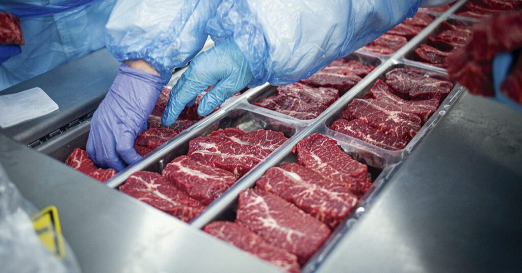 por que a especulacao baixista esta se intensificando com a alegacao de dificuldades no escoamento da carne bovina no portal dbo