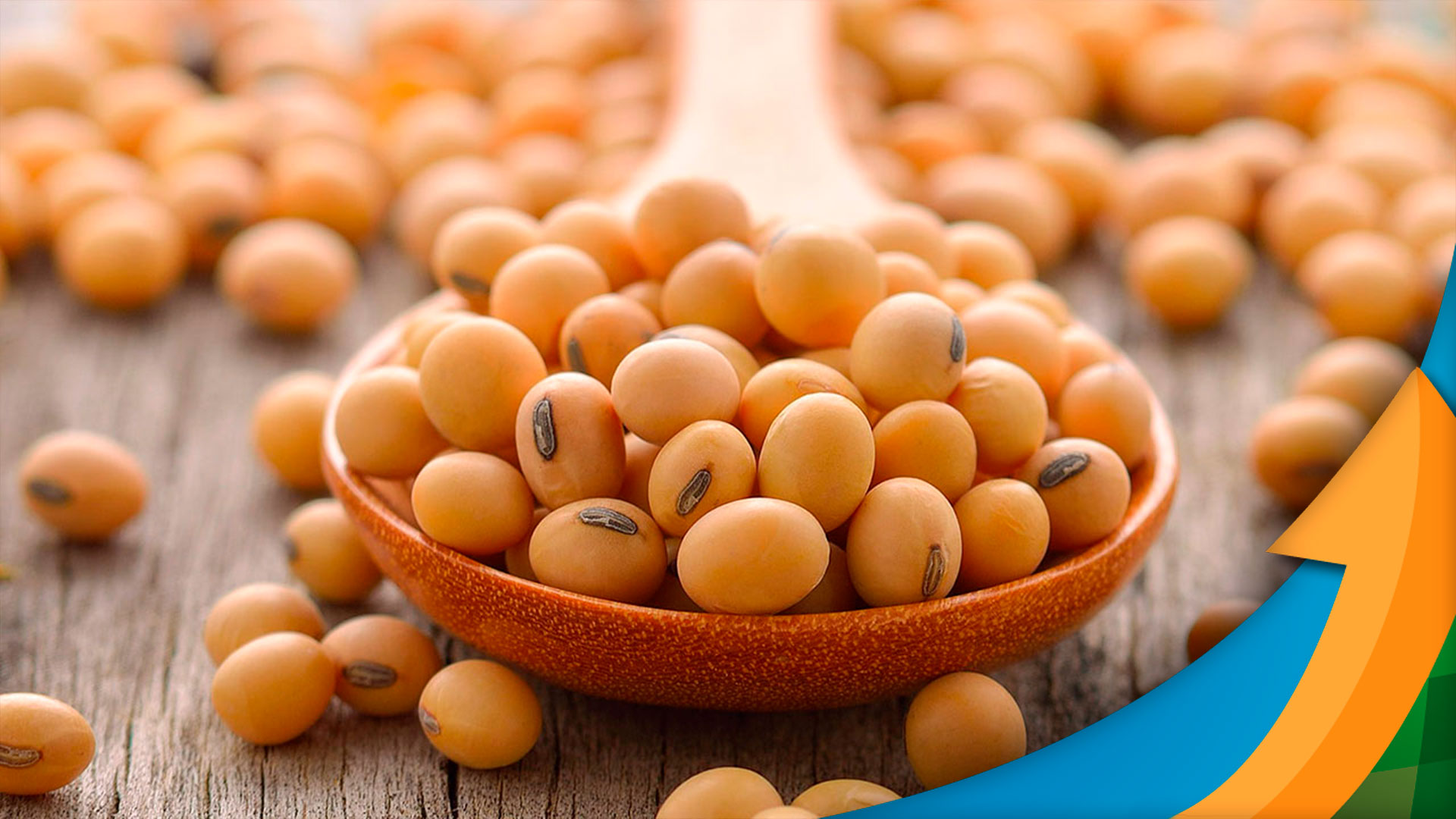 Por que a soja está recuando novamente em Chicago com a realização de lucros e entrando em setembro?