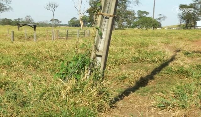 Produtores em MT estão preocupados com a falta de reparos na rede elétrica, que tem causado acidentes no campo.