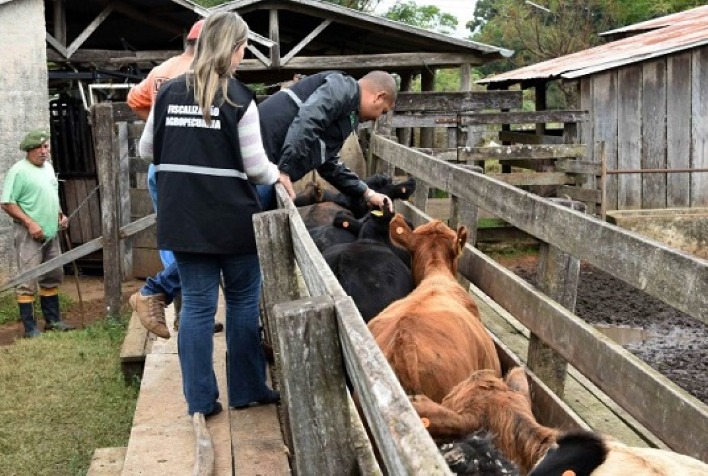 Quais cidades de Mato Grosso serão visitadas pelos técnicos do Ministério da Agricultura e Pecuária para subsidiar a elaboração do programa financiado pelo BID?
